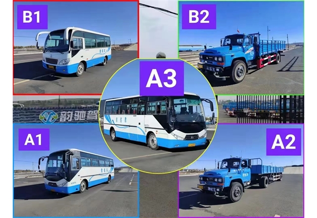 大車A1.A2.A3.B1.B2